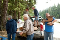 968581253_QEoha-L