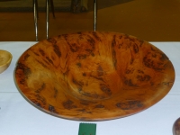 p1010991