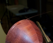 dsc0470-l