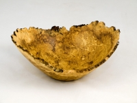08