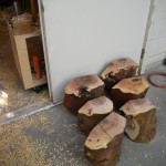 madrona logs